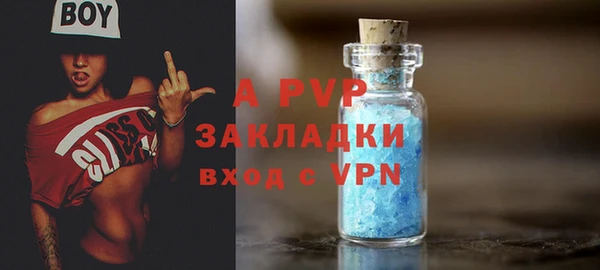 PSILOCYBIN Весьегонск