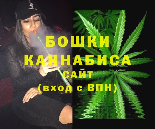 ГАЛЛЮЦИНОГЕННЫЕ ГРИБЫ Богородск